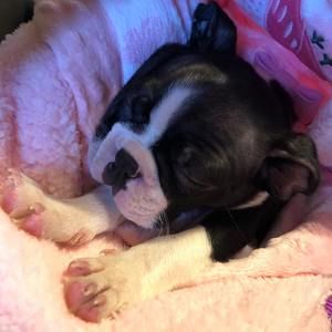 Meet your Posher, Jill